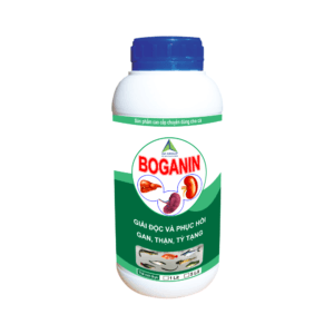 BOGANIN
